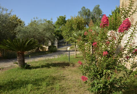 Villa del Monte: Blomst, Busk, Have, Lyserød, Forår, Blomstrende Plante, Landscaping, Botanisk Have, Gård