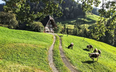 Rüttimätteli