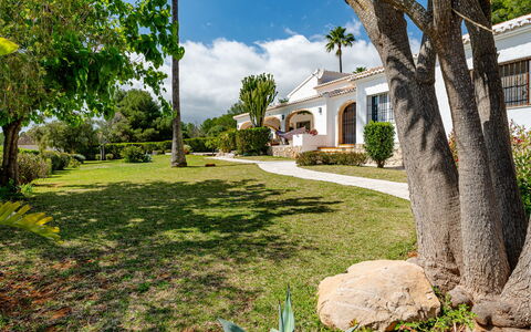 Tika: Træ, Estate, Skygge, Have, Hacienda, Lawn, Landscaping, Villa, Mansion, Gård