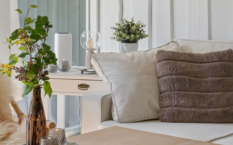 Petkana - 4Km from the Sea: Møbel, Indretning, Blomsterkrukke, Bord, Textile, Stue, Hjem, Pude, Belysning, Couch