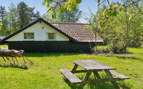 Petkana - 4Km from the Sea: Græs, Træ, Sommerhus, Hus, Land Lot, Hjem, Landdistrikt, Tag, Bunddække