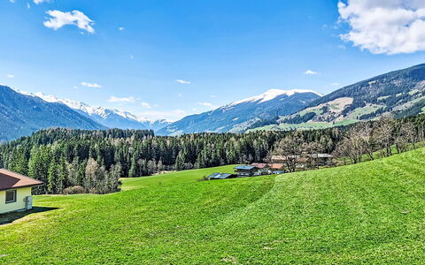 Panoramablick Tauern: Græs, Grøn, Bjergrige Landskabsformer, Natur, Græs-, Bjerg, Naturlige Landskab, Bakke, Landskab