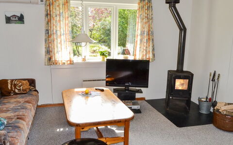 Friderica - 30Km from the Sea: Møbel, Træ, Gulvbelægning, Indretning, Etage, Stue, Belysning, Værelse, Television, Hearth