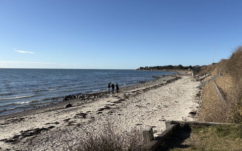 Marillia - 75M from the Sea: Kyst, Strand, Coastal Og Oceaniske Landskabsformer, Kyst, Hav, Horisont, Ocean, Bank, Sand, Vind Wave