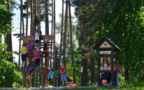 Hradec Kralove 4: Træ, Træ, Fritid, Offentlige Rum, Friluftsliv, Fritid, Forår, Sjovt, Parkere, Barn