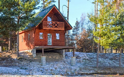 Hradec Kralove 4: Træ, Træ, Hus, Sommerhus, Hjem, Vinter, Bjælkehytte, Fryser, Sidespor, Sne