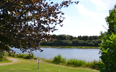 Jalina - 30Km from the Sea: Vandressourcer, Vand, Krop Af Vand, Grøn, Naturlige Landskab, Vandvej, Vandløb, Bank, Sø