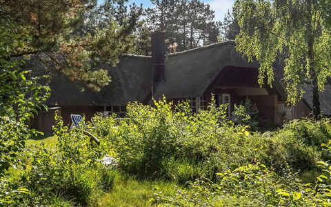Ullamaj - 700M from the Sea: Vegetationen, Busk, Sommerhus, Land Lot, Plantesamfund, Tag, Have, Landdistrikt, Bunddække
