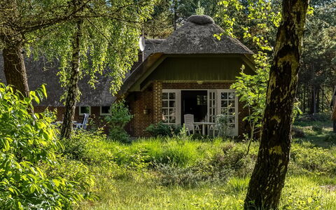 Ullamaj - 700M from the Sea: Vegetationen, Tækning, Tag, Hus, Sommerhus, Busk, Landdistrikt, Hjem, Plantesamfund, Have