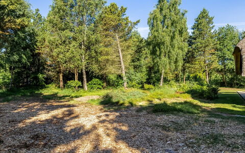 Ullamaj - 700M from the Sea: Blad, Træ, Græs, Afdeling, Vegetationen, Busk, Plantesamfund, Have, Bunddække, Bagagerum