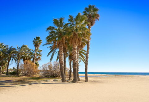 Ainhoa: Blå, Strand, Sommer, Landskab, Sand, Kyst, Bagagerum, Hav, Tropics, Coastal Og Oceaniske Landskabsformer