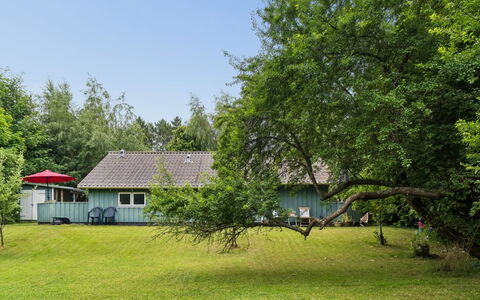 Niela - 700M from the Sea: Græs, Træ, Hus, Busk, Hjem, Sommerhus, Lawn, Land Lot, Landdistrikt