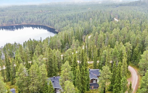 Rukan Kivikelo: Træ, Naturligt Miljø, Natur, Skov, Landskab, Plantesamfund, Land Lot, Woodland