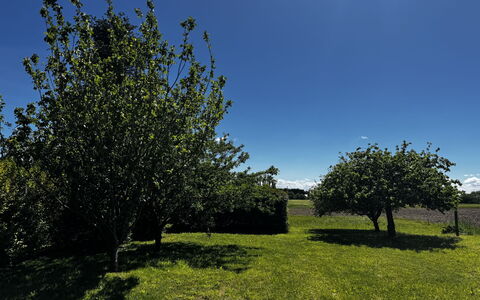 La Maison de Léa: Blå, Blad, Grøn, Natur, Naturligt Miljø, Afdeling, Vegetationen, Græs-, Almindeligt