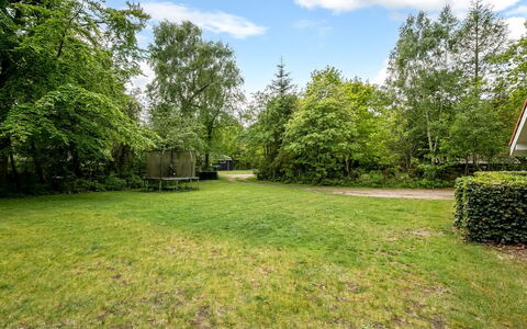 Antoinetta - 350M from the Sea: Træ, Busk, Land Lot, Have, Lawn, Landscaping, Gård, Estate, Parkere, Skygge