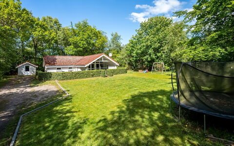 Antoinetta - 350M from the Sea: Træ, Græs, Hus, Hjem, Busk, Sommerhus, Land Lot, Landdistrikt, Tag
