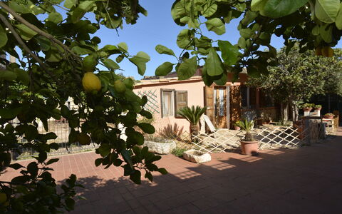 Ranch Salomonello: Busk, Blomsterkrukke, Have, Skygge, Stueplante, Gård, Backyard, Landscaping, Stol