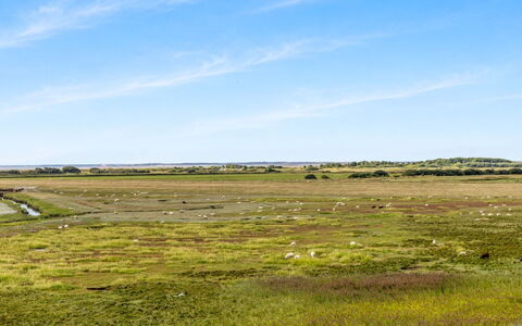 Nadua - 25M from the Sea: Himmel, Grøn, Naturligt Miljø, Græs-, Økoregion, Naturlige Landskab, Almindeligt, Horisont, Steppe, Prærie