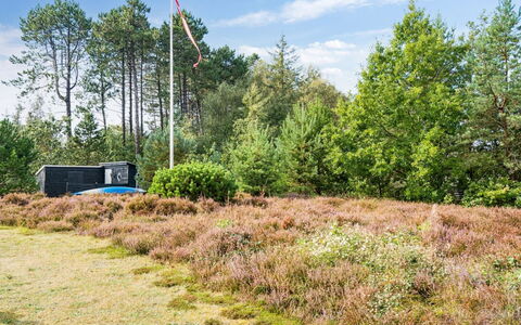Sorja - 170M from the Sea: Træ, Græs, Vegetationen, Busk, Græs-, Plantesamfund, Land Lot, Shrubland