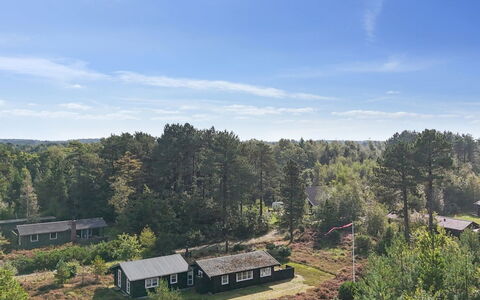 Sorja - 170M from the Sea: Vegetationen, Landskab, Landdistrikt, Hus, Land Lot, Sommerhus, Busk, Økoregion, Hjem, Tag