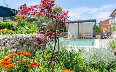 Dolores: Lejlighed, Altan, Ejerlejlighed, Hotel, Udvej, Ferieby, Hacienda, Villa, Badeby