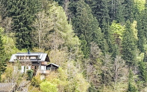 Chalet Kitzsteinhorn: Træ, Naturligt Miljø, Vegetationen, Hus, Busk, Skov, Sommerhus, Plantesamfund, Hjem