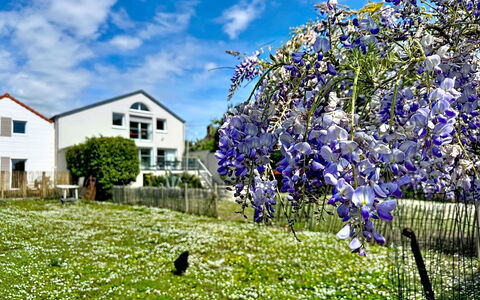L'Océane: Vand, Træ, Svømmepøl, Udvej, Have, Eco Hotel, Skygge, Landscaping, Tropics