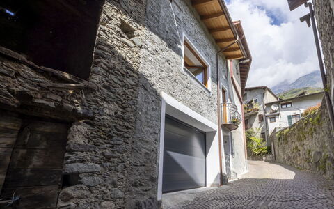 Casa del Cigno: Vand, Træ, Svømmepøl, Udvej, Have, Eco Hotel, Skygge, Landscaping, Tropics