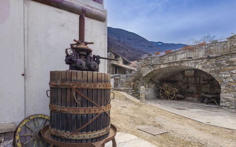 Valtellina 646: Vand, Træ, Svømmepøl, Udvej, Have, Eco Hotel, Skygge, Landscaping, Tropics