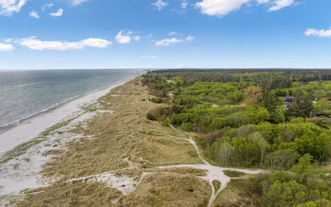 Sys - from the Sea: Naturligt Miljø, Økoregion, Horisont, Kyst, Coastal Og Oceaniske Landskabsformer, Plantesamfund, Kyst, Hav, Shrubland, Ocean