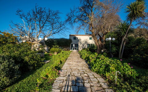 Tenuta Renna: Busk, Have, Forår, Landscaping, Gård, Walkway, Botanisk Have