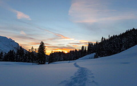 La Suisse Normande: Himmel, Blå, Vinter, Afdeling, Natur, Sne, Solopgang, Sol, Terræn, Ødemark