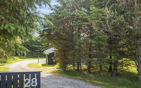 Ilya - 900M from the Sea: Træ, Blad, Afdeling, Græs, Busk, Land Lot, Bagagerum, Kvist, Woodland, Sommerhus