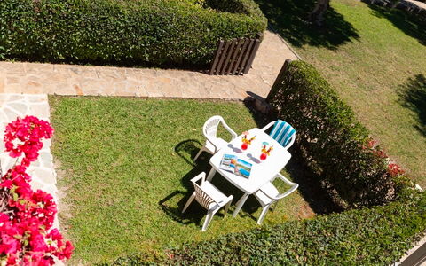 Perla San Teo: Busk, Have, Lawn, Bunddække, Hæk, Forår, Landscaping, Backyard, Gård, Skygge