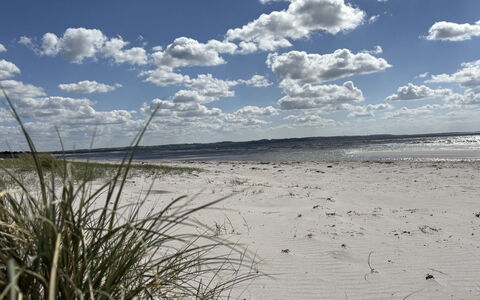 Gizelle - 200M from the Sea: Himmel, Blå, Sky, Daytime, Naturligt Miljø, Horisont, Strand, Cumulus, Økoregion, Sand