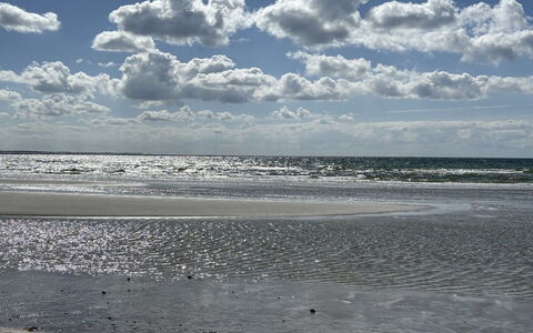 Gizelle - 200M from the Sea: Blå, Himmel, Sky, Daytime, Krop Af Vand, Vandressourcer, Naturligt Miljø, Horisont, Strand