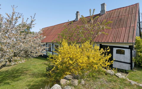 Espen - 300M from the Sea: Græs, Græs-, Land Lot, Sommerhus, Landdistrikt, Eng, Garden Bygninger, Have, Skur
