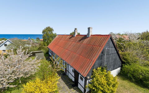 Espen - 300M from the Sea: Græs, Busk, Land Lot, Landdistrikt, Sommerhus, Hjem, Tag, Bunddække, Have