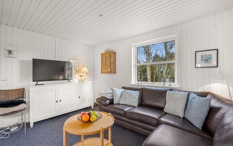 Ascan - 300M to the Fjord: Indretning, Gulvbelægning, Træ, Loft, Couch, Møbel, Etage, Stue, Værelse, Hjem