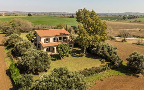 Tarquinia Garden Home: Træ, Almindeligt, Græs-, Landdistrikt, Land Lot, Menneskelig Bosættelse, Estate, Mark, Plantation