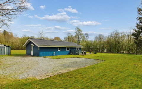Brunhild - 29Km from the Sea: Plantesamfund, Sollys, Urteagtig Plante, Have, Plantation, Landbrug, Farm