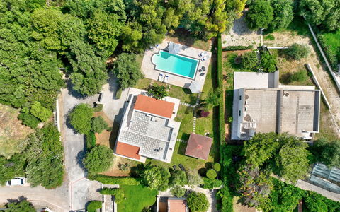 Villa Margherita: Svømmepøl, Træ, Boligområde, Fugleperspektiv, Landskab, Luftfotografering, Hus, Hjem, Estate, Urban Design