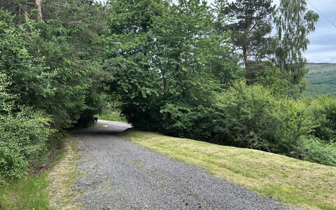 Highland Hilltop Retreat: Græs, Blad, Træ, Vejbelægning, Vej, Vegetationen, Busk, Asfalt, Færdselsåre