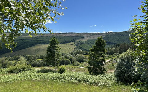 Highland Hillside Retreat: Bjergrige Landskabsformer, Grøn, Træ, Naturligt Miljø, Natur, Bakke, Bjerg, Vegetationen, Naturlige Landskab, Græs-