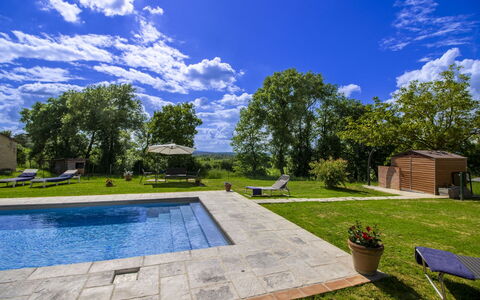 Gli Ulivi: Træ, Svømmepøl, Have, Skygge, Landscaping, Lawn, Estate, Backyard, Gård, Design