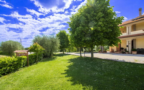 Gli Ulivi: Blå, Træ, Græs, Busk, Land Lot, Have, Lawn, Forår, Skygge, Eng
