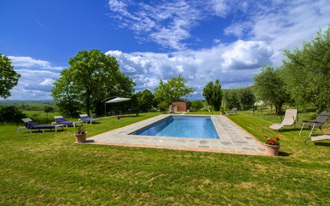 Gli Ulivi: Have, Svømmepøl, Estate, Lawn, Landscaping, Skygge, Stuehus, Gård, Parkere, Hacienda