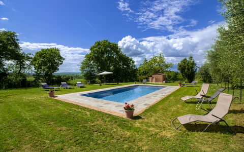 Gli Ulivi: Have, Lawn, Svømmepøl, Landscaping, Estate, Parkere, Gård, Backyard, Stuehus, Hacienda