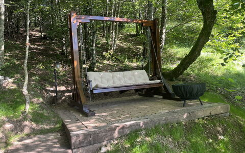 Cozy Bear Cabin: Træ, Bagagerum, Skov, Svinge, Udendørs Møbler, Vedplante, Jungle, Woodland, Have, Skygge