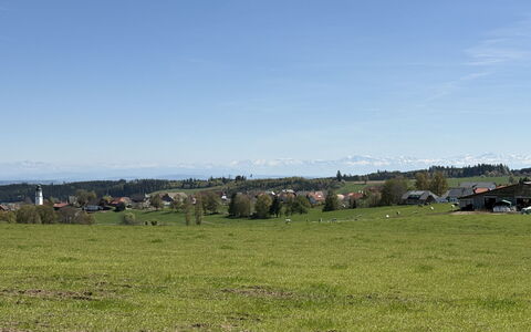Alpenblick: Busk, Boligområde, Hus, Hjem, Have, Bunddække, Sommerhus, Vedplante, Landscaping, Estate
